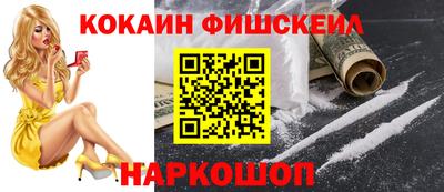 крисы Новодвинск