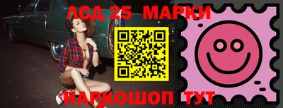 крисы Новодвинск