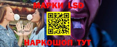 крисы Новодвинск