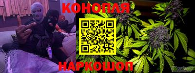 прущие грибы Новокубанск