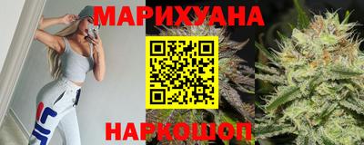 крисы Новодвинск