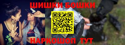 крисы Новодвинск