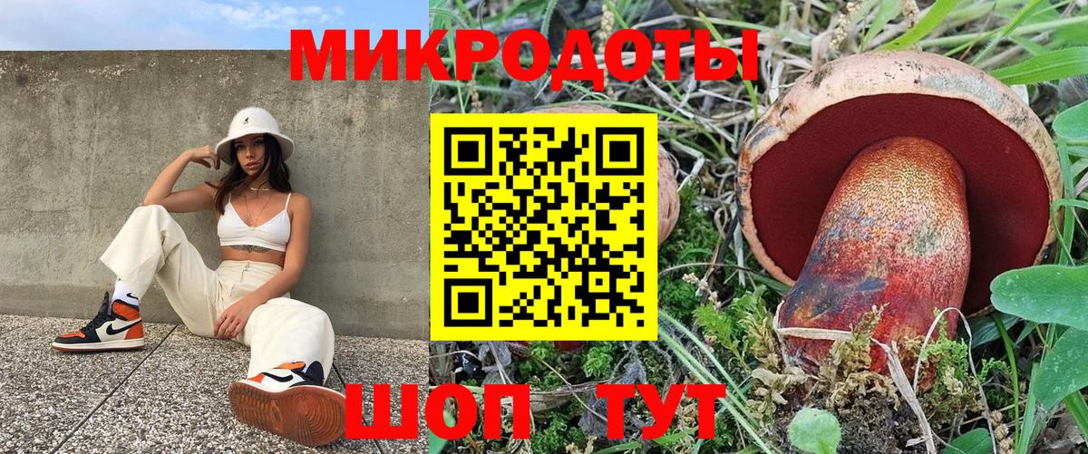 Галлюциногенные грибы GOLDEN TEACHER  Псилоцибиновые грибы ЛСД  что такое наркотик  Вход с VPN  Рузаевка 